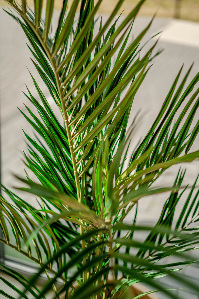 Areca - Konstgjord palm