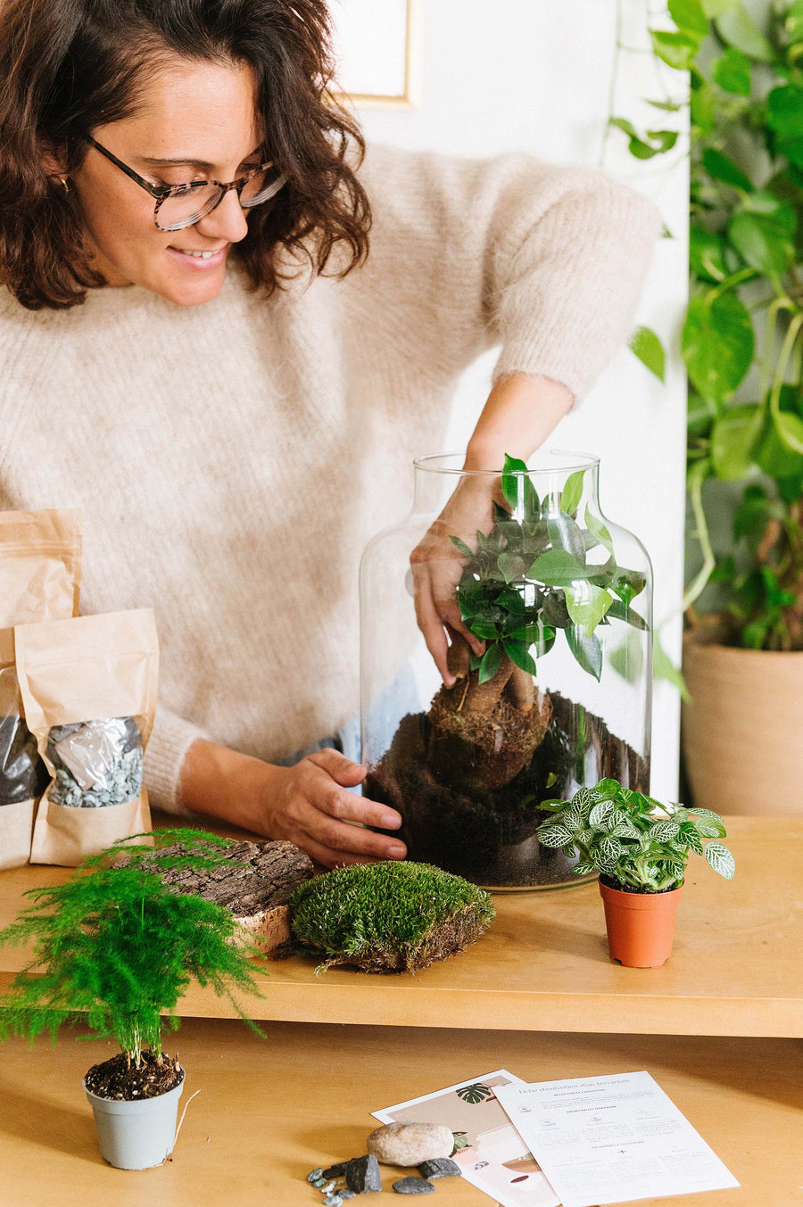 Entretien plantes