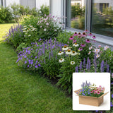 Pack jardin - composition prête à planter