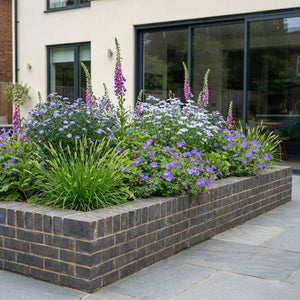 Pack Massif Soleil & Mi-Ombre Violet & Bleu - 30 plantes — photo 5