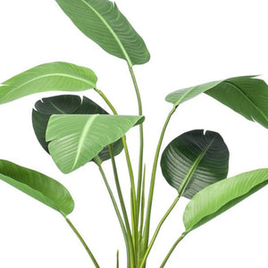 Strelitzia artificiel i kruka h120cm
