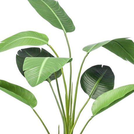 Strelitzia artificiel i kruka h120cm