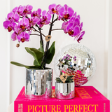 Kolibri Company | Växtnset Disco | Paarse Vienna orchidee Ø9cm + Succulent incl. keramieken sierpotten