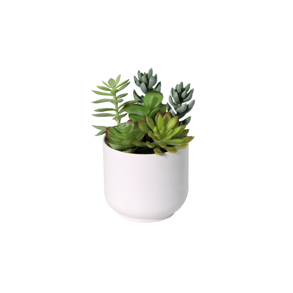 ARTIFICIAL Succelent including white kruka - 19cm