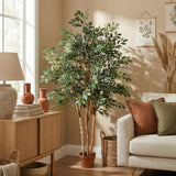 Ficus Exotica artificiel h150cm