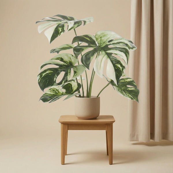 Monstera variegata artificiel h40cm kruka inkluderad