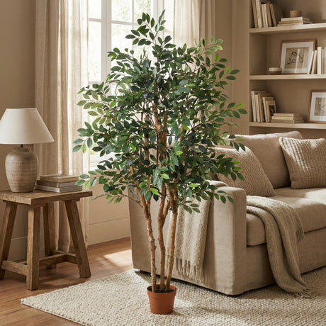 Ficus Exotica artificiel h150cm