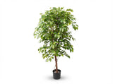 Ficus haut de gamme artificiel h140cm