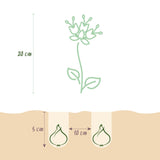 Green boutiQ - Bloembollen - Fritillaria Meleagris Mix - Kleur Paars i Wit - 30 stuks - Bolmaat 6/7 - XXL Pack