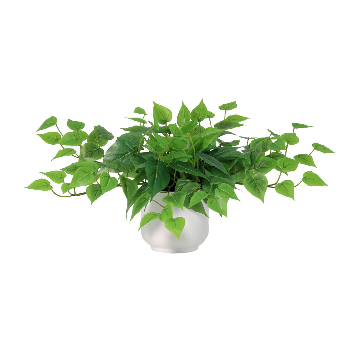 ARTIFICIAL epipremnum including white kruka