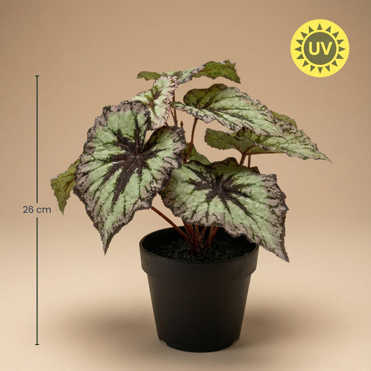 Begonia artificiel h26cm