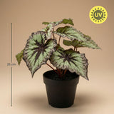Begonia artificiel h26cm
