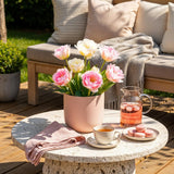 Green boutiQ - Bloembollen - Tulp Double Sensation - Kleur Wit i Roze - 12 stuks - Bolmaat 11/12 - XXL Pack