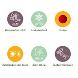 Green boutiQ - Terrasplant - Japanse Esdoorn - Acer palmatum Sumi-nagashi - Rood - 2 Växtn - Bladverliezend - Kruka 19cm Hoogte 70cm