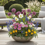 Green boutiQ - Bloembollen - Bulb Garden mix - Diversen soorten i kleuren - 125 stuks - Gift Verpakking