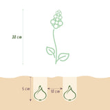 Green boutiQ - Bloembollen - Corydalis Beth Evans - Kleur Wit i Paars - 20 stuks - Bolmaat 6/7 - XXL Pack