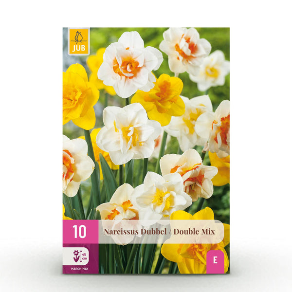 Green boutiQ - Bloembollen - Narcis Double mix - Kleur Geel i Wit - 10 stuks - Bolmaat 12/14 - XXL Pack