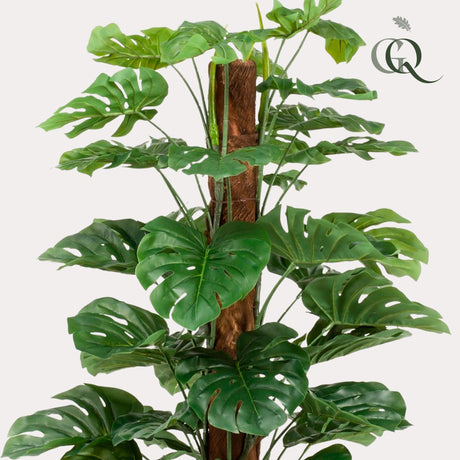 Monstera deliciosa artificiel h180cm