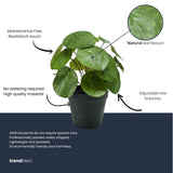 Pilea artificiel h25cm kruka inkluderad