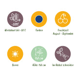 Green boutiQ - Fruitväxtn - Blauwe Bes - Vaccinium macrophylla Early Black - Winterhard - 3 Växtn - Kruka 9 cm - Donker Rode  Bes