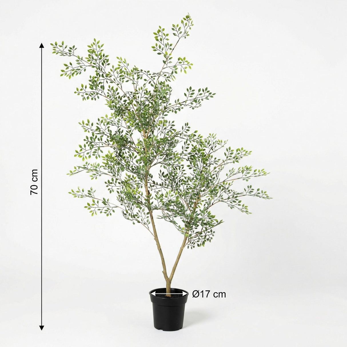 Bucida artificiel h71cm