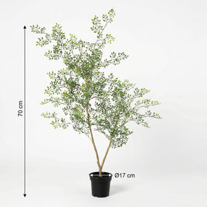 Bucida artificiel h71cm