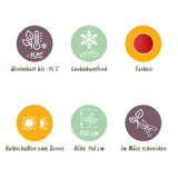 Green boutiQ - Terrasplant - Japanse Esdoorn - Acer palmatum Shaina - Rood - 2 Växtn - Bladverliezend - Kruka 19cm Hoogte 70cm