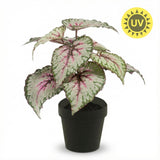 Begonia artificiel h26cm kruka inkluderad