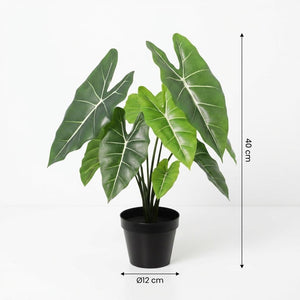 Alocasia polly artificiel h40cm