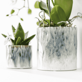 Orchidée Phalaenopsis blanche Mineral Amabilis - cache-pot Sky et boîte cadeau - H 40 cm, pot Ø9 cm