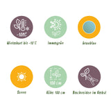 Green boutiQ - Terrasplant - Eucalyptus boom - Eucalyptus gunni  - Grijs - 6 Växtn - Winterhard - Kruka 17cm Hoogte 40cm
