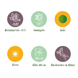 Green boutiQ - Fruitplant - Bananen plant - Musa Basjoo - Winterhard - 6 växtn - Kruka 12cm Hoogte 30cm