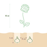 Green boutiQ - Bloembollen - Ranunculus Pastel Mix - Diversen Kleuren - 40 stuks - Bolmaat 5/6 - XXL Pack