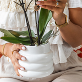 Kolibri Orchids | Giftset Large White | Gibraltar orchidee Ø9cm + groene växtn – incl. sierpotten, standaard & rieten dienblad – vers van de kweker
