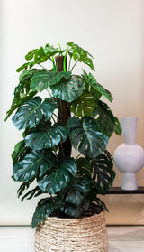 Monstera deliciosa artificiel h180cm