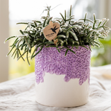 Kolibri Company | Växtnset Bloom Purple | Paarse Vienna orchidee + groene växtn incl. sierpotten