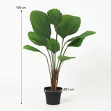 Licuala Storis palmier artificiel h104cm