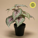 Begonia artificiel h26cm kruka inkluderad