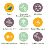 Green boutiQ - Borderpakket - Bijen i Vlinderlokkend - 8 Vaste växtn - 1 m2 - Diversen kleuren - Weinig Onderhoud - Kruka 11cm