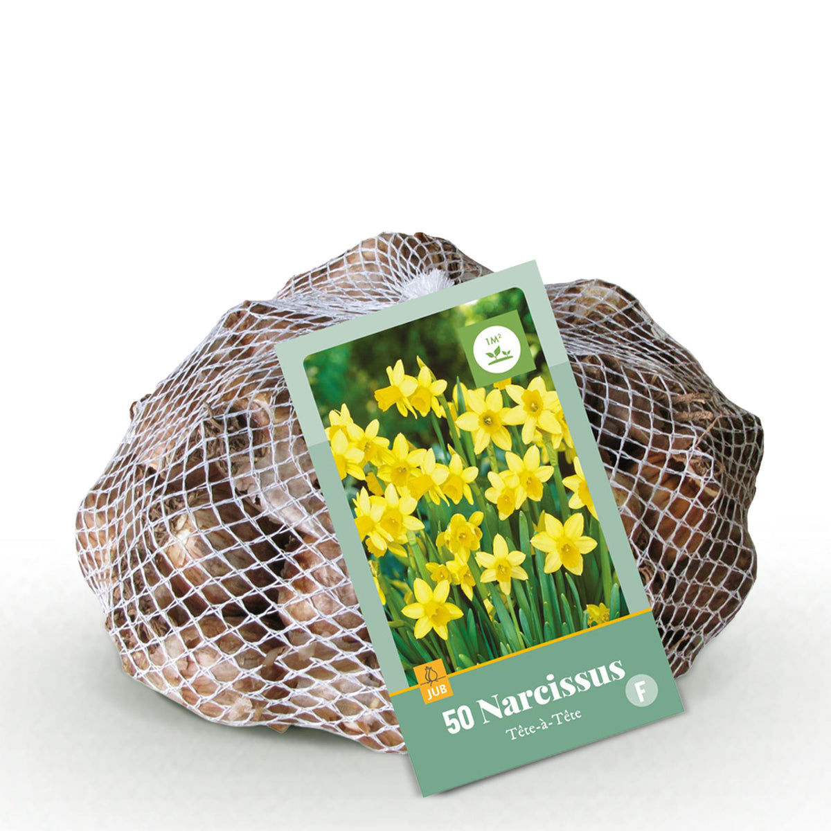Green boutiQ - Bloembollen - Narcis Tete-A-Tete - Kleur Geel - 50 stuks - Bolmaat 10/12