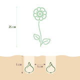 Green boutiQ - Bloembollen - Eranthis Cilicica - Kleur Geel - 25 stuks - Bolmaat 4/5 - XXL Pack