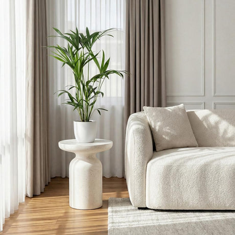 Green boutiQ - Kamerplant - Howea Forsteriana - Kentia Palm - Weinig Onderhoud - Groen - 1 Plant - met Mand - Kruka 19cm - Hoogte 80-85cm