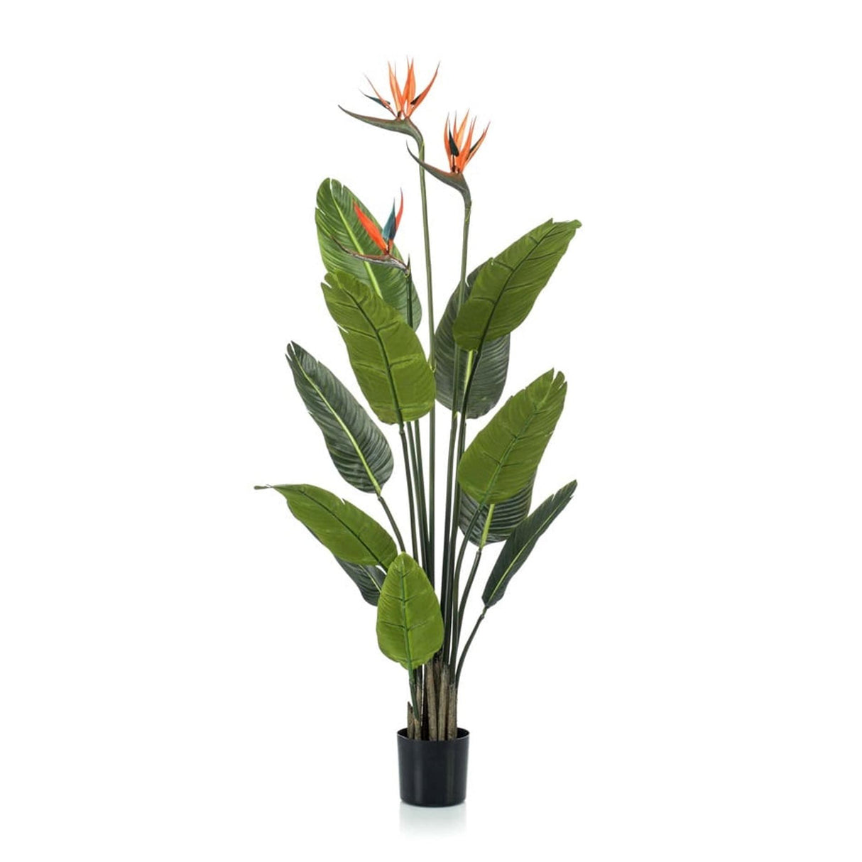 Oiseau av paradis artificiel i kruka h120cm