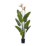 Oiseau av paradis artificiel i kruka h120cm