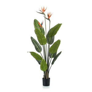 Oiseau av paradis artificiel i kruka h120cm