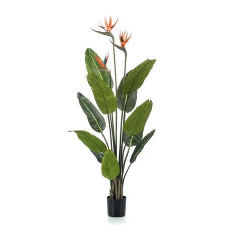 Oiseau av paradis artificiel i kruka h120cm