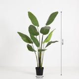 Strelitizia nicolai artificiel h180cm