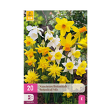 Green boutiQ - Bloembollen - Narcis Botanical mix - Kleur Geel i Wit - 20 stuks - Bolmaat 10/12 - XXL Pack