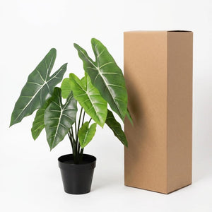 Alocasia polly artificiel h40cm