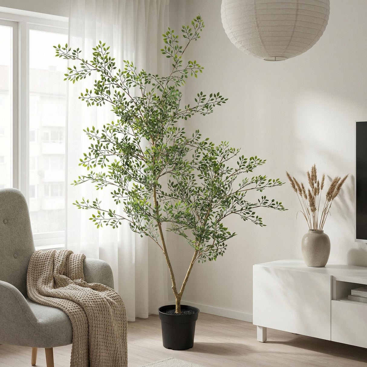 Bucida artificiel h71cm
